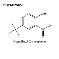 4-tert-Butyl-2-nitrophenol（3279-07-0）