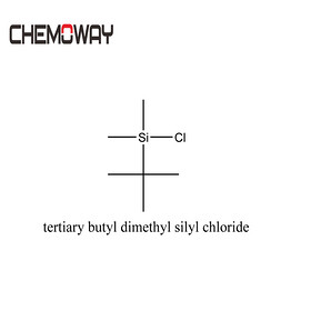 tertiary butyl dimethyl silyl chloride（18162-48-6 ）