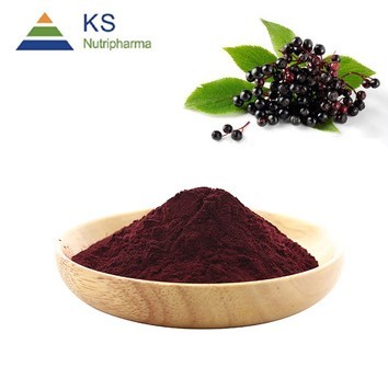 Natural Elderberry fruit Extract anthocyanin 25%#s