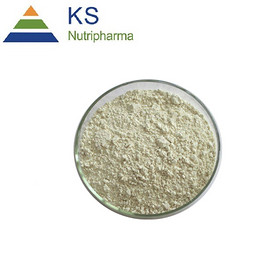 Citrus Aurantium Extract Bitter Orange Powder #A