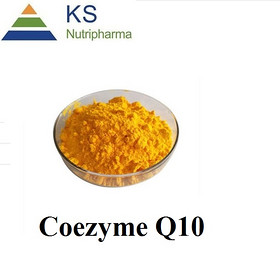 Coenzyme Q10 98% q10 powder