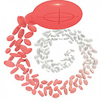 Opadry? QX Quick and FleXible Film Coating