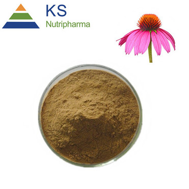 Echinacea purpurea extract Cichoric acid #s