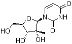 2'-C-Methyluridine