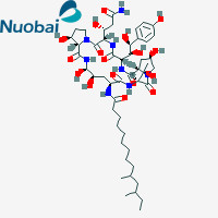 Piperacillin