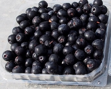 Black Chokeberry Extract