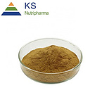 Gotu kola extract Asiaticoside 5% 10% #T