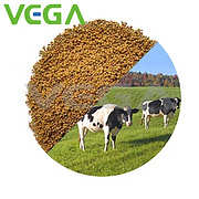 Rumen protected L-Lysine HCL 30% 60%