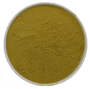 Echinacea Purpurea Extract Polyphenols and Cichoric Acid #A  