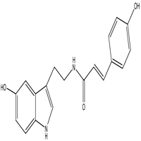 N-p-Coumaroyl  serotonin , CAS : 68573-24-0 , C19H18N2O3