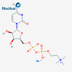 Citicoline Sodium