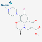 Levofloxacin Hemihydrate