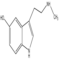 Nw-Methyl-5-hydroxytryptamine CAS : 1134-01-6