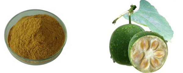 Luo Han Guo Extract Monk Fruit Extract #A  