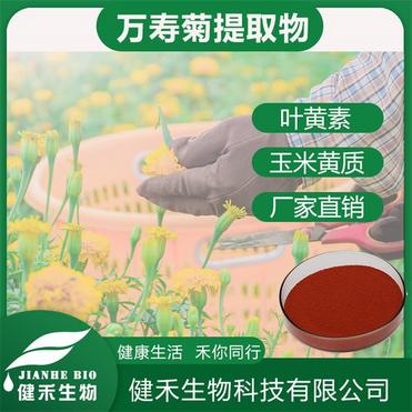 Marigold Flower Extract Lutein Powder