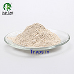 trypsin