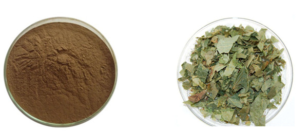 Epimedium Leaf Extract Icariin Icariins #A  