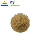 Echinacea Purpurea Extract Polyphenols and Cichoric Acid #A