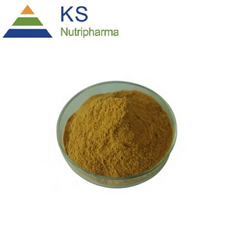 Luo Han Guo Extract Monk Fruit Extract #A  