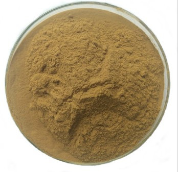 Echinacea Purpurea Extract Polyphenols and Cichoric Acid #A  