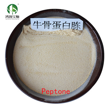 Bacteriological Peptone Y001G