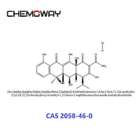 oxytetracycline hydrochloride（2058-46-0）[4s-(4alpha,4aalpha,5alpha,5aalpha,6beta,12aalpha)]-4-(dimet