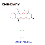 spectinomycin dihydrochloride pentahydrate（21736-83-4）