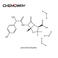 amoxicillin trihydrate（61336-70-7）