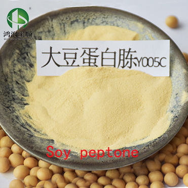 soya peptone