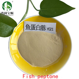 Fish peptone