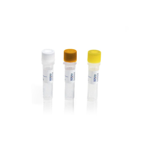 Real Time Multiplex RT-PCR Kit (for COVID-19)  