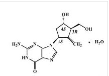 Entecavir