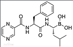 Bortezomib