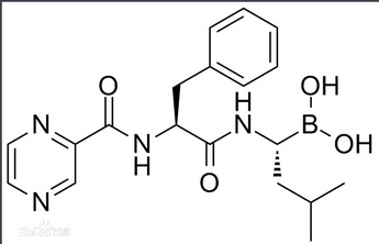 Bortezomib