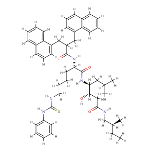 Elderberry Extract