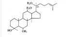 Ginseng Extract