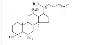 Ginseng Extract