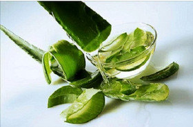 Aloe Vera Extract