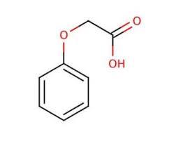 Phenoxyacetic Acid