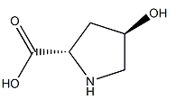 Trans-4-Hydroxy-L-Proline
