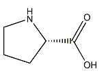 L-Proline