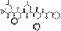 Carfilzomib