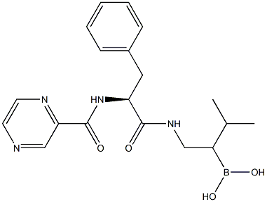 Bortezomib