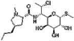 Clindamycin