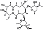 Clarithromycin