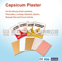 Capsicum pain relief patch