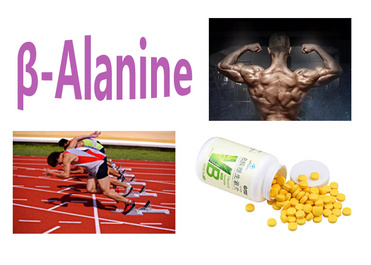 β-Alanine