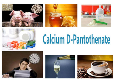 Calcium D-Pantothenate