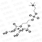 DPPC Dipalmitoyl Phosphatidylcholine