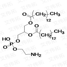 DMPE Dimyristoylphosphatidylethanolamine